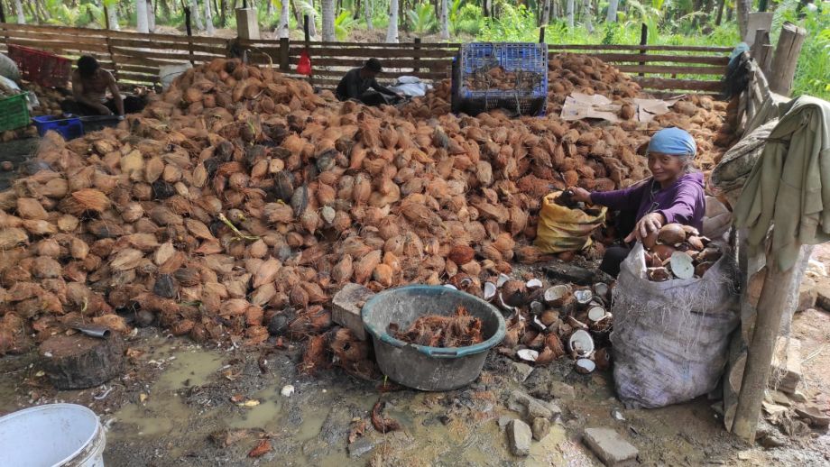 Kadisbunnak Kalbar pantau peningkatan nilai tambah kelapa dalam