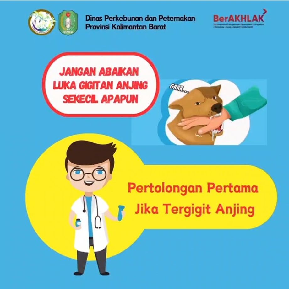 Pertolongan Pertama Pada Rabies