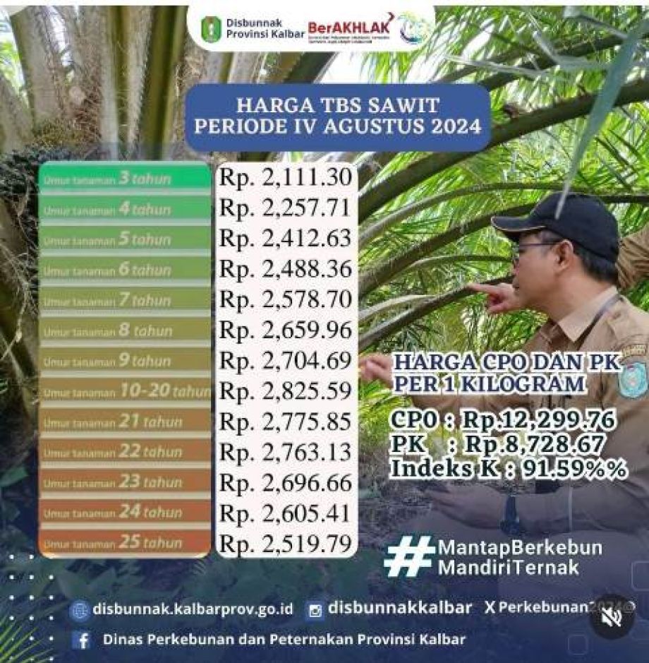 Harga TBS