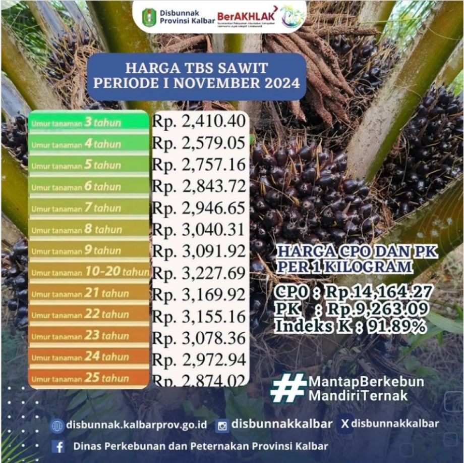 Harga TBS